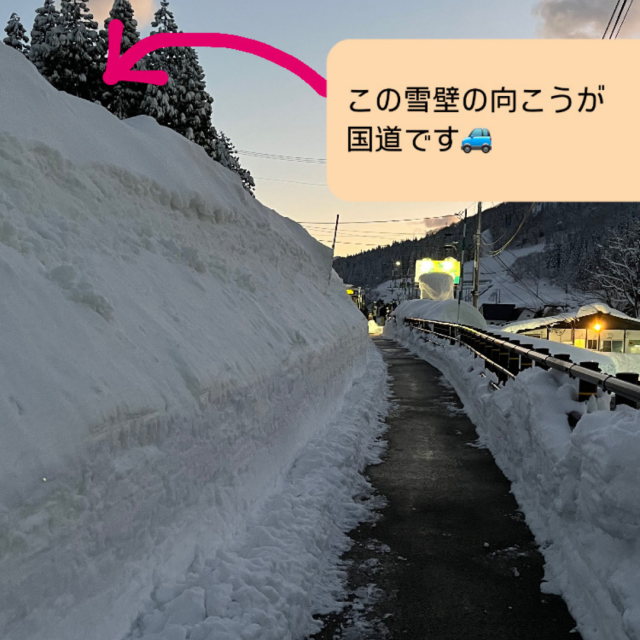 かぐらスキー場横の国道には除雪した雪が高〜い壁に！
